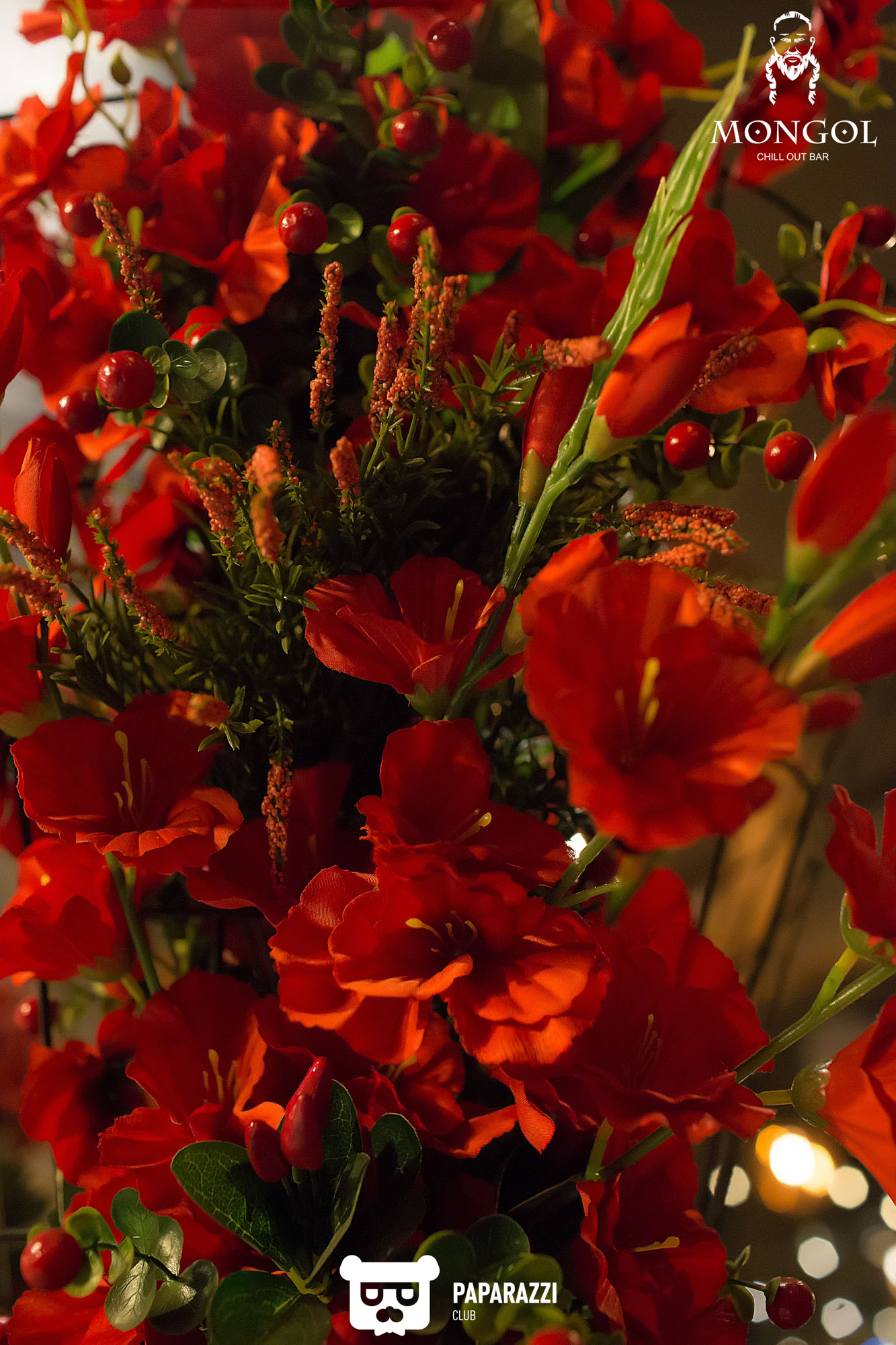 Mongol Chill Out Bar Алматы 20.05.2022 Mongol Chill Out Bar