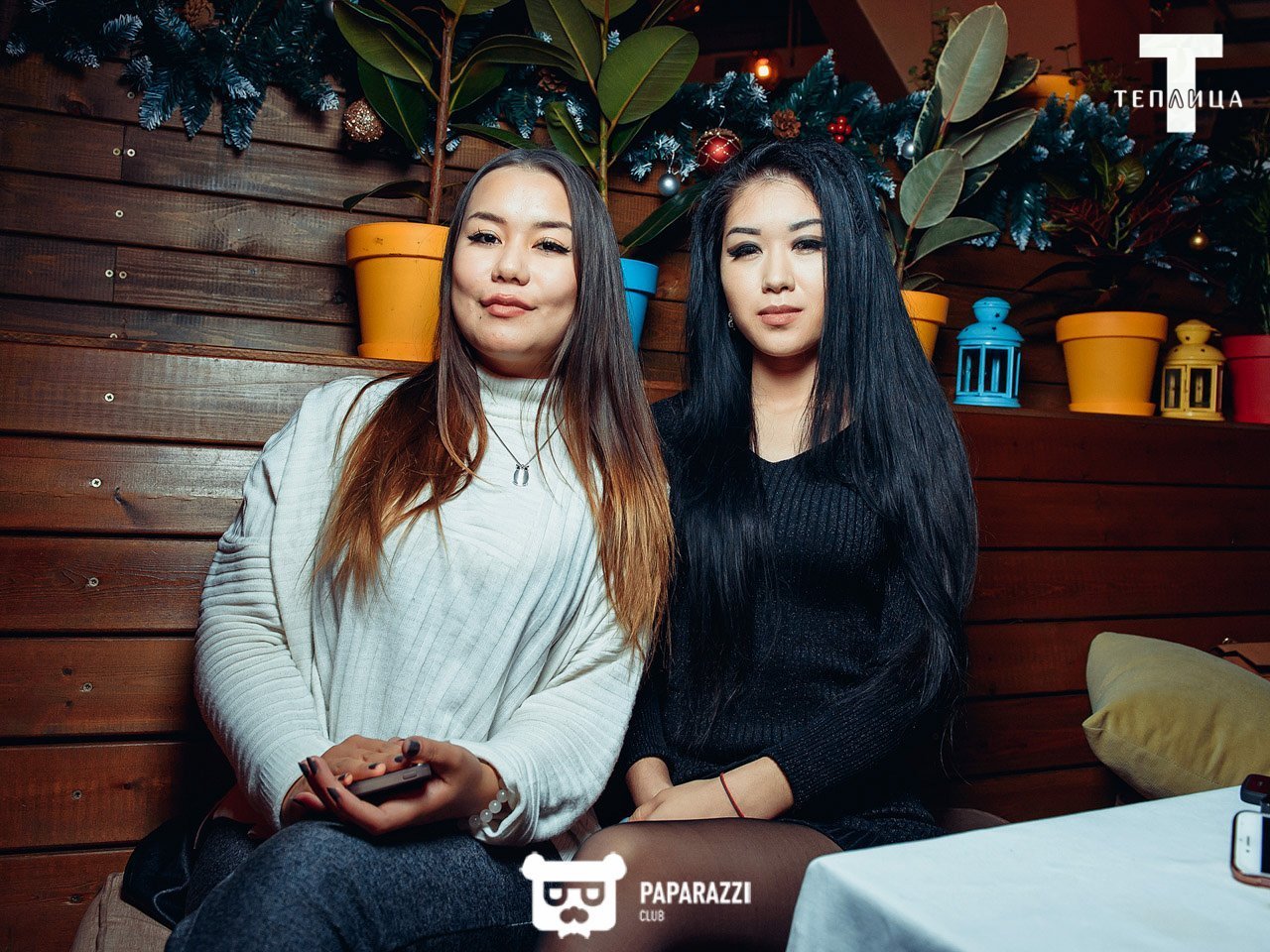 Теплица Алматы 15.12.2017 Теплица