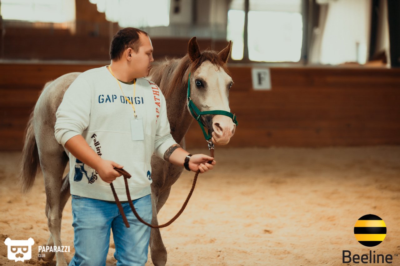 Тимбилдинг компании Beeline Kazakhstan в Chamberlain Country Club Алматы 11.09.2018 Тимбилдинг компании Beeline Kazakhstan в Chamberlain Country Club