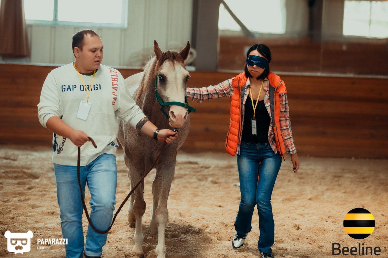 Тимбилдинг компании Beeline Kazakhstan в Chamberlain Country Club Алматы 11.09.2018 Тимбилдинг компании Beeline Kazakhstan в Chamberlain Country Club