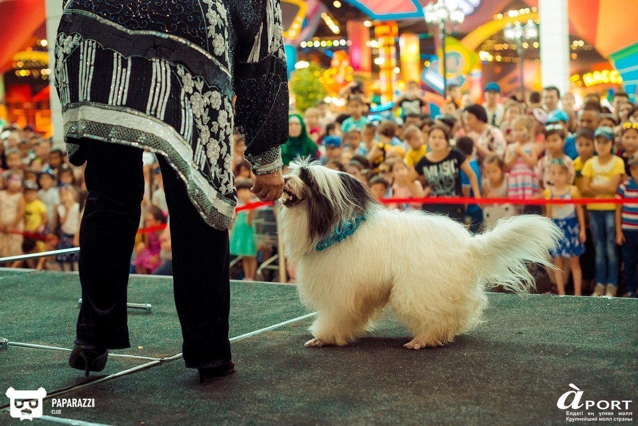 Молл Апорт Алматы 07.07.2018 Молл Апорт