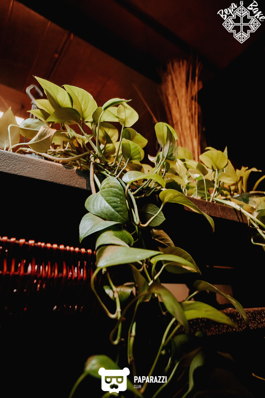 Ресторан гостеприимной кухни "Вера и Ваке" Алматы 19.04.2019 Ресторан гостеприимной кухни "Вера и Ваке"