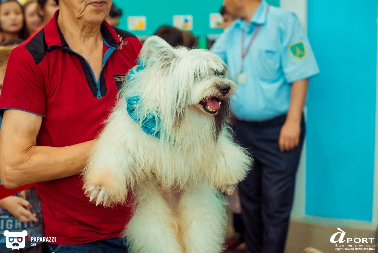 Молл Апорт Алматы 07.07.2018 Молл Апорт