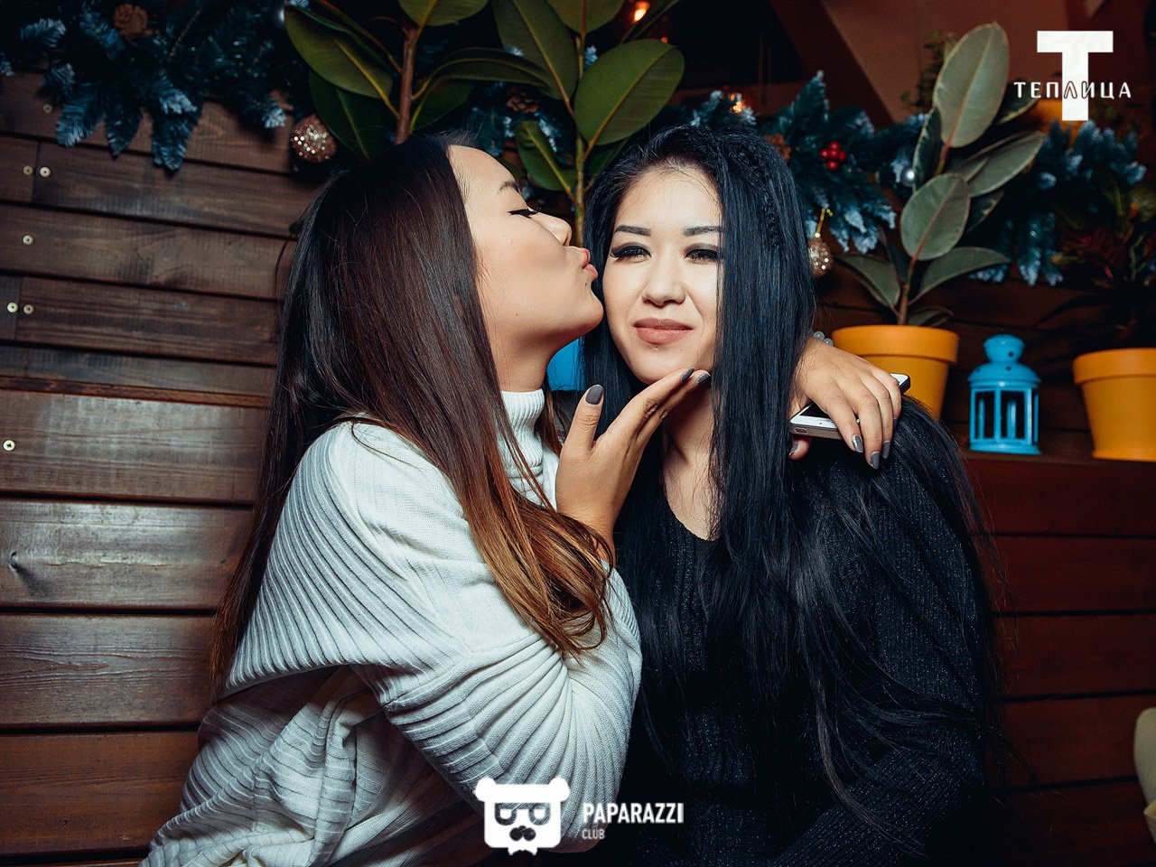 Теплица Алматы 15.12.2017 Теплица