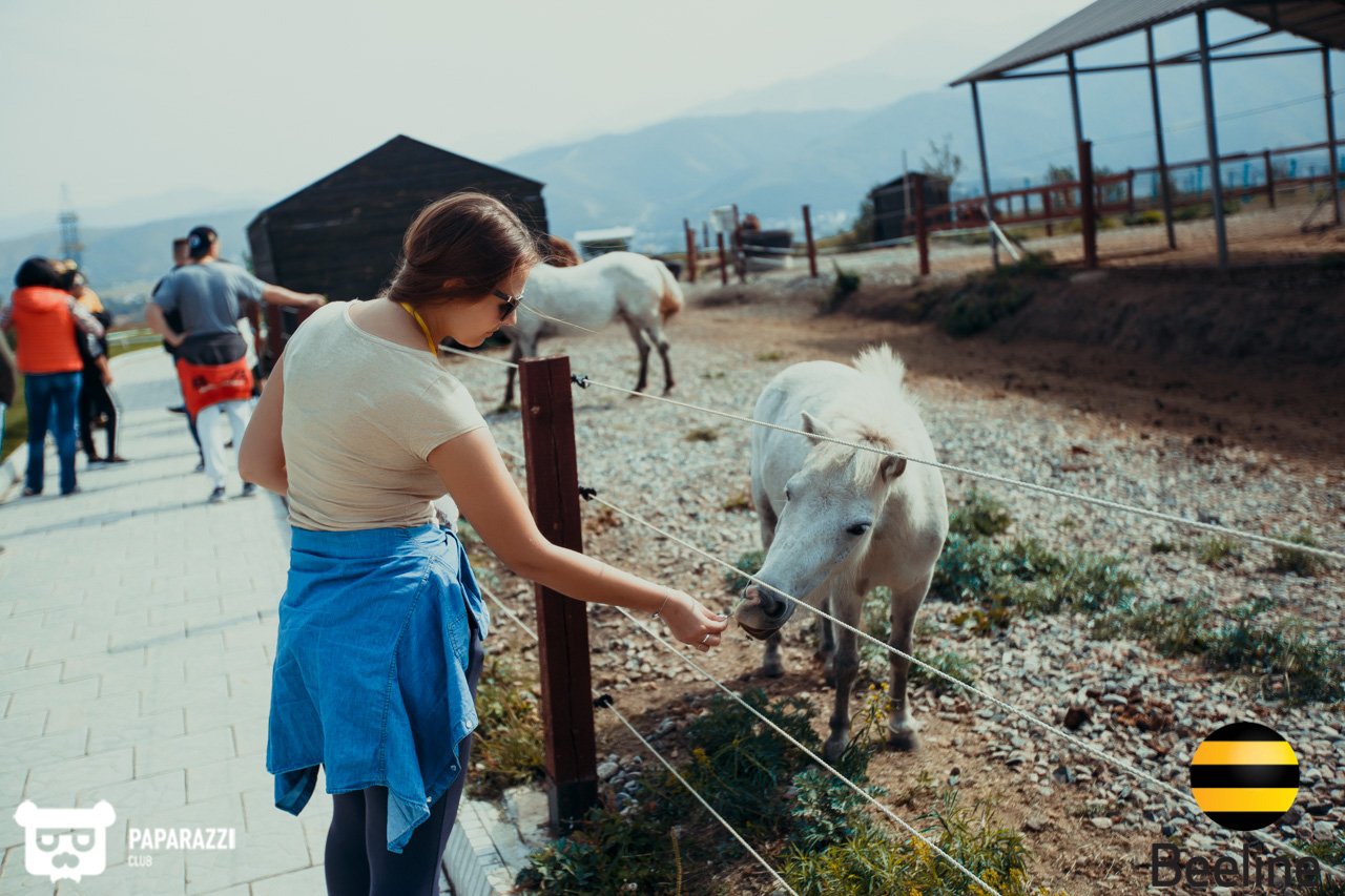 Тимбилдинг компании Beeline Kazakhstan в Chamberlain Country Club Алматы 11.09.2018 Тимбилдинг компании Beeline Kazakhstan в Chamberlain Country Club