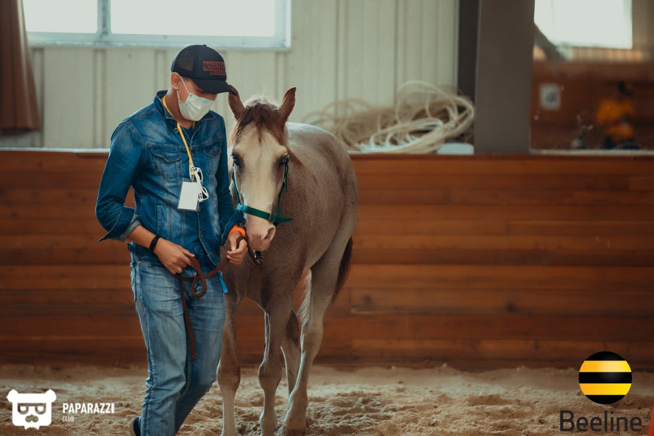 Тимбилдинг компании Beeline Kazakhstan в Chamberlain Country Club Алматы 11.09.2018 Тимбилдинг компании Beeline Kazakhstan в Chamberlain Country Club