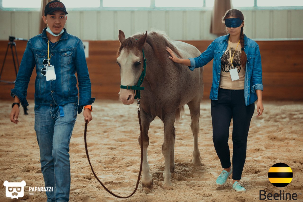 Тимбилдинг компании Beeline Kazakhstan в Chamberlain Country Club Алматы 11.09.2018 Тимбилдинг компании Beeline Kazakhstan в Chamberlain Country Club