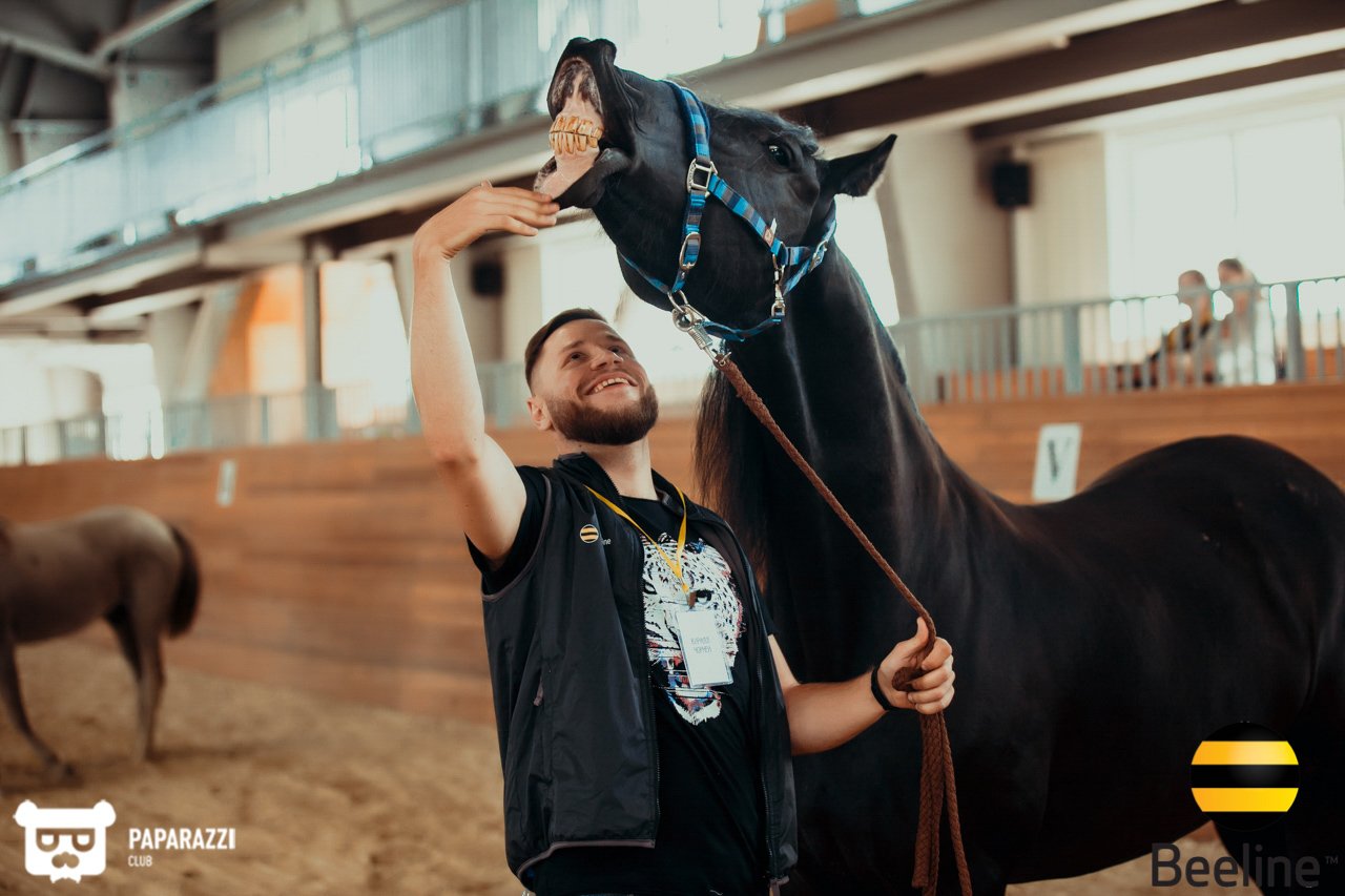 Тимбилдинг компании Beeline Kazakhstan в Chamberlain Country Club Алматы 11.09.2018 Тимбилдинг компании Beeline Kazakhstan в Chamberlain Country Club