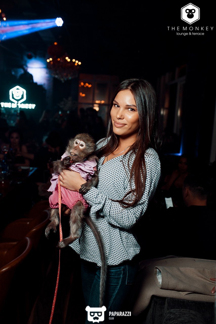 The Monkey Алматы 09.02.2019 The Monkey