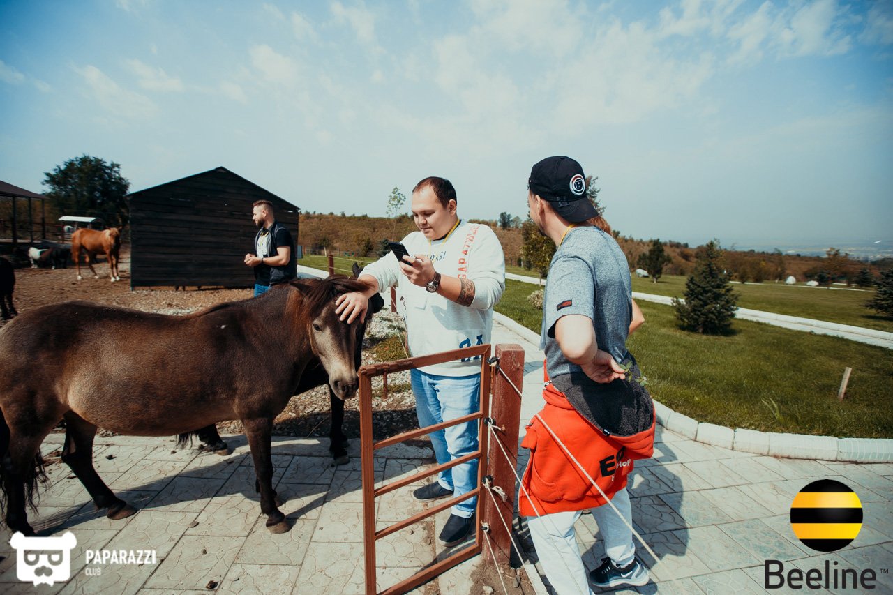 Тимбилдинг компании Beeline Kazakhstan в Chamberlain Country Club Алматы 11.09.2018 Тимбилдинг компании Beeline Kazakhstan в Chamberlain Country Club