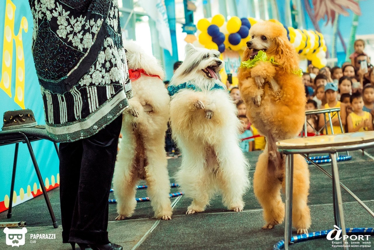 Молл Апорт Алматы 07.07.2018 Молл Апорт