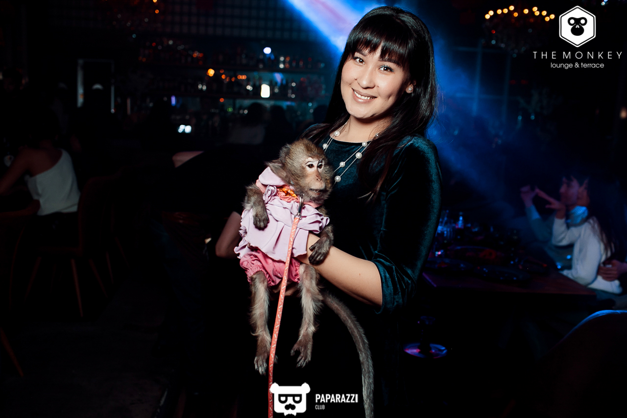 The Monkey Алматы 09.02.2019 The Monkey