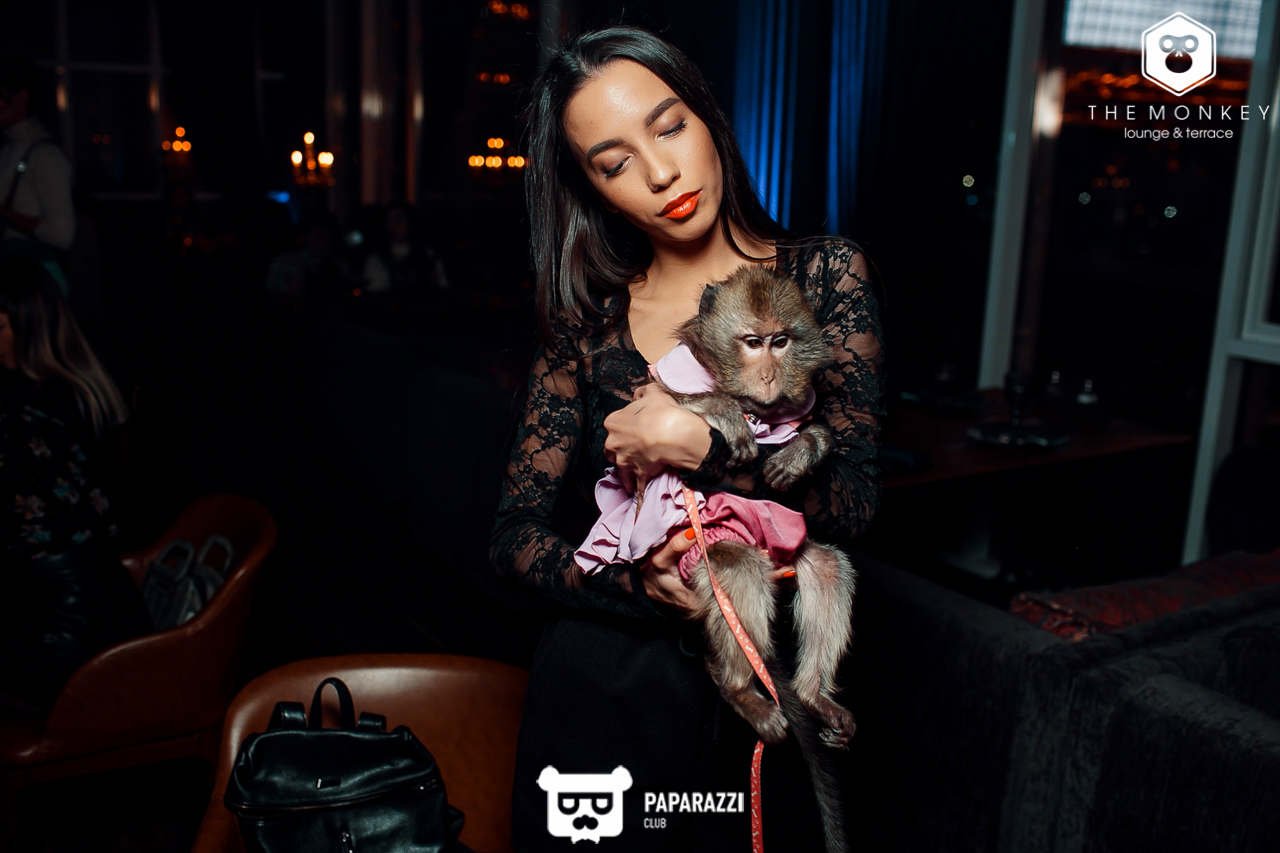 The Monkey Алматы 26.01.2019 The Monkey