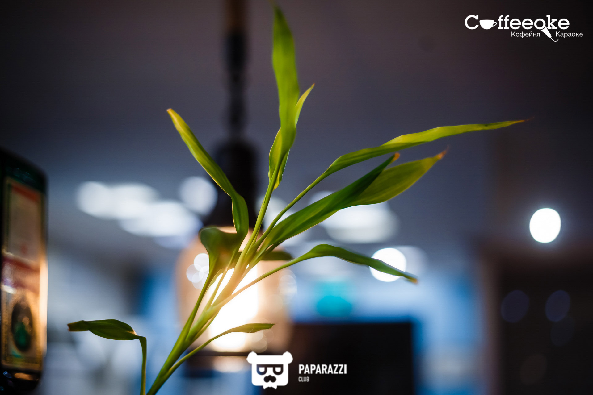 Coffeeoke Алматы 28.06.2019 Coffeeoke