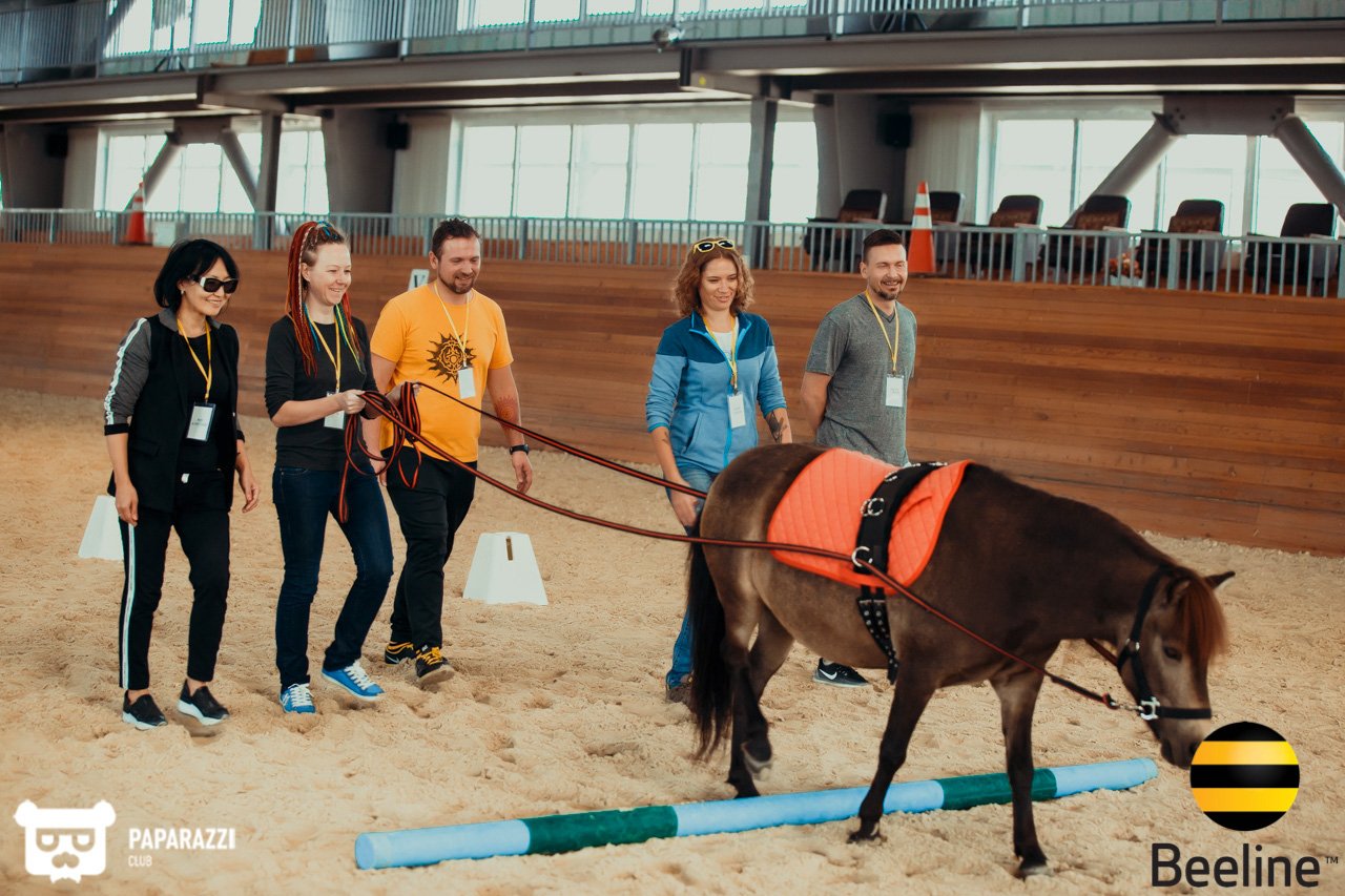 Тимбилдинг компании Beeline Kazakhstan в Chamberlain Country Club Алматы 11.09.2018 Тимбилдинг компании Beeline Kazakhstan в Chamberlain Country Club