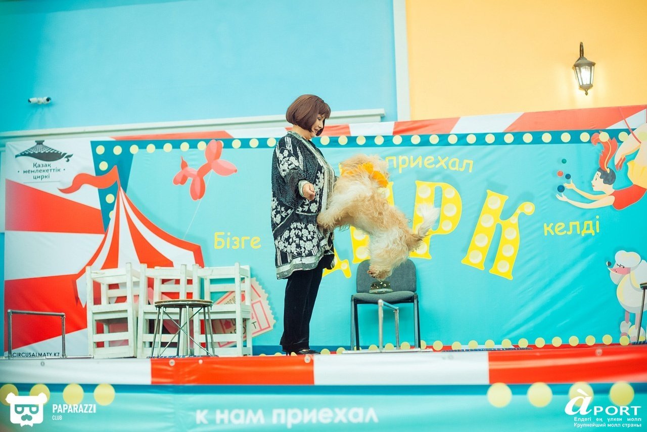 Молл Апорт Алматы 07.07.2018 Молл Апорт