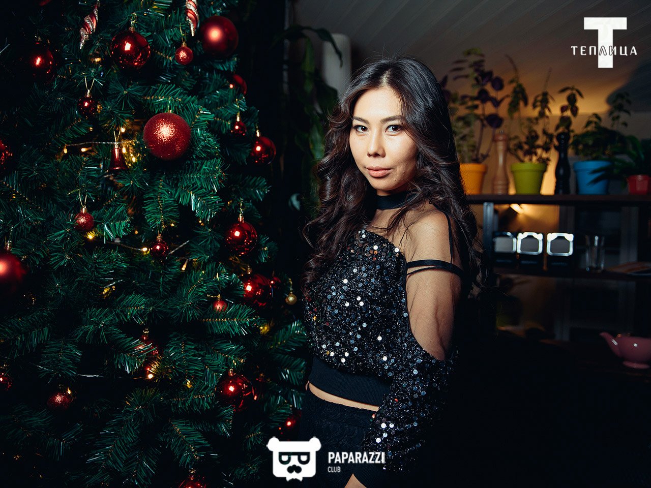 Теплица Алматы 15.12.2017 Теплица