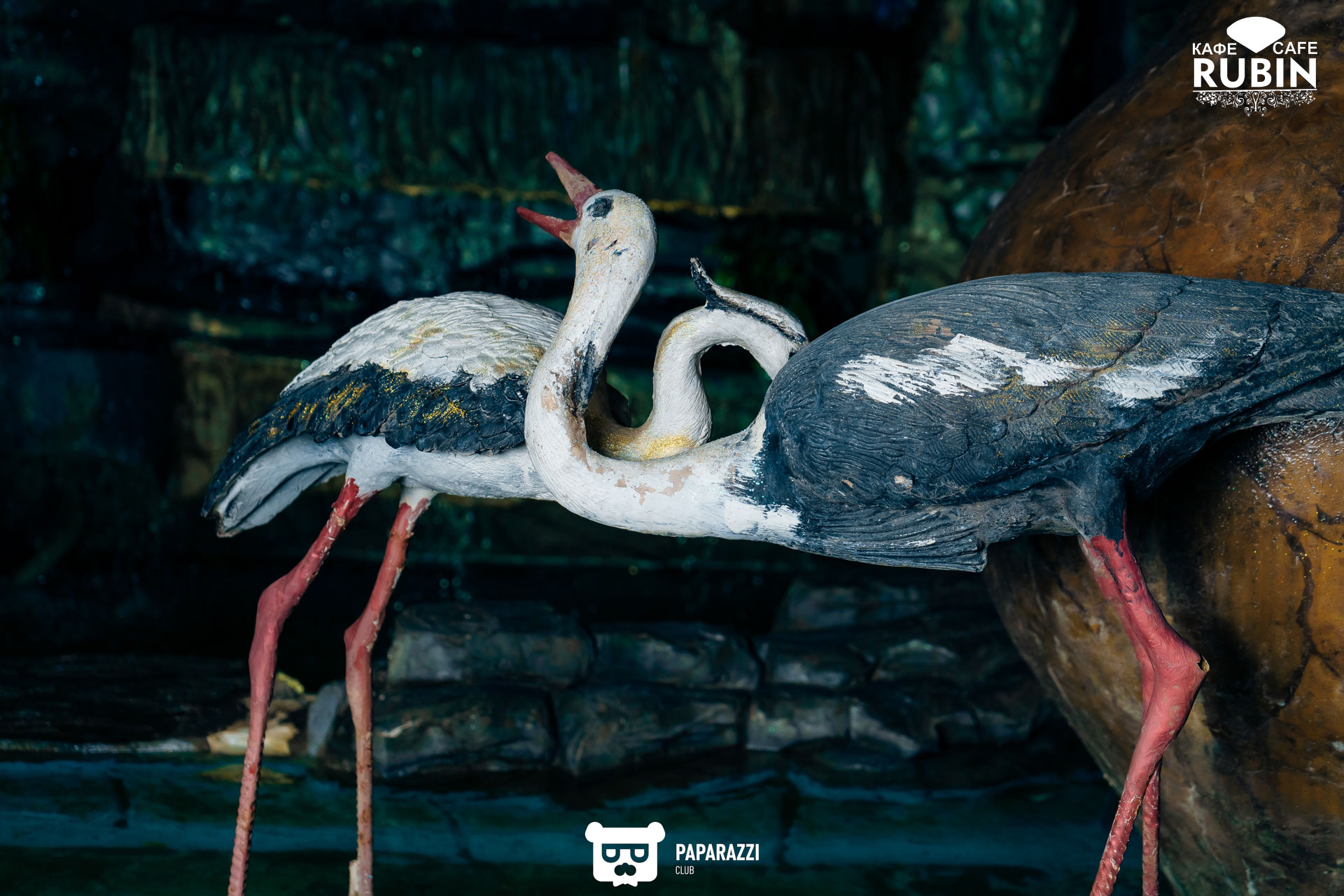 "Rubin" Алматы 17.06.2022 "Rubin"