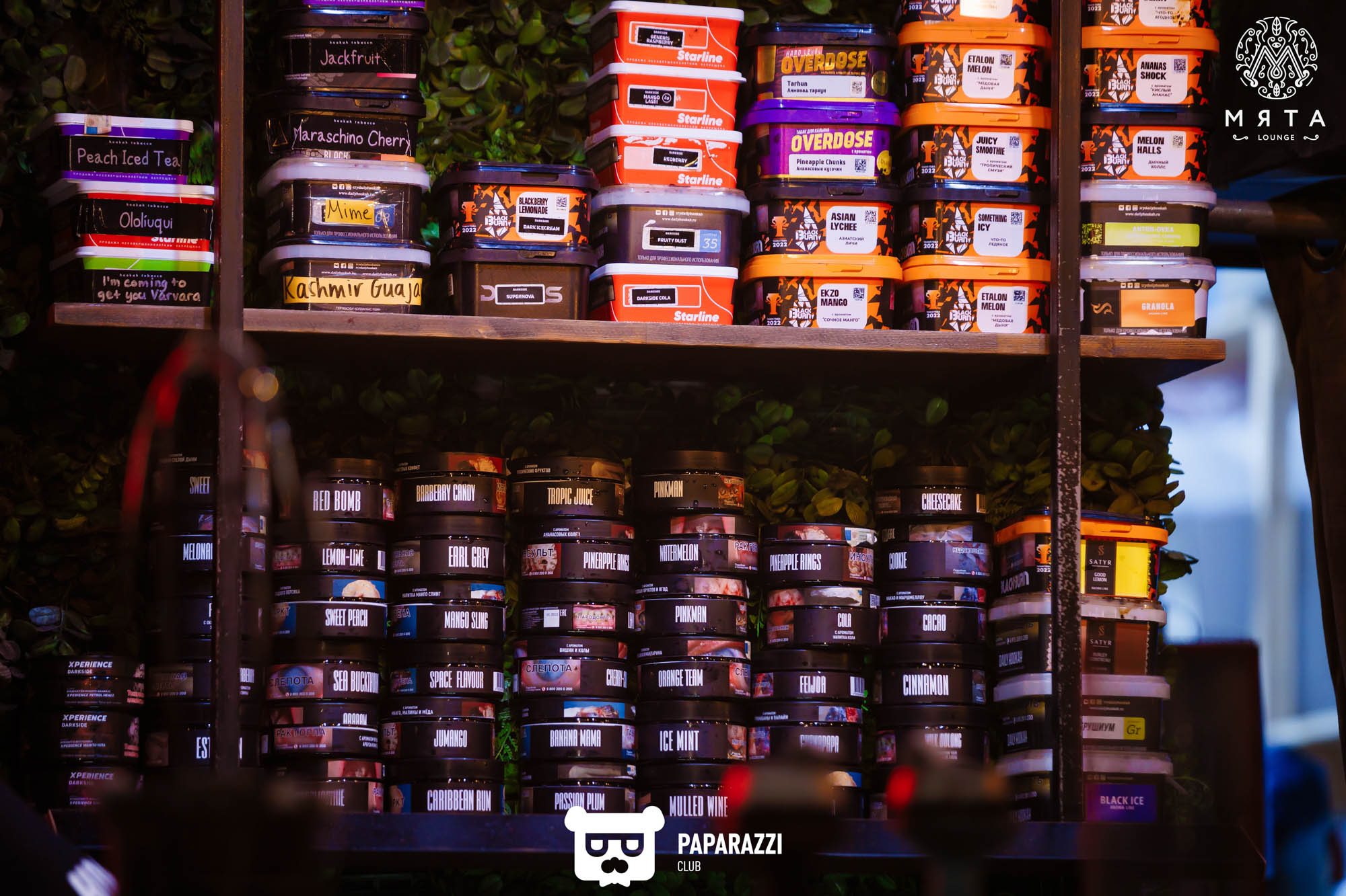 МЯТА Lounge на Мендикулова Алматы 08.11.2024 МЯТА Lounge на Мендикулова