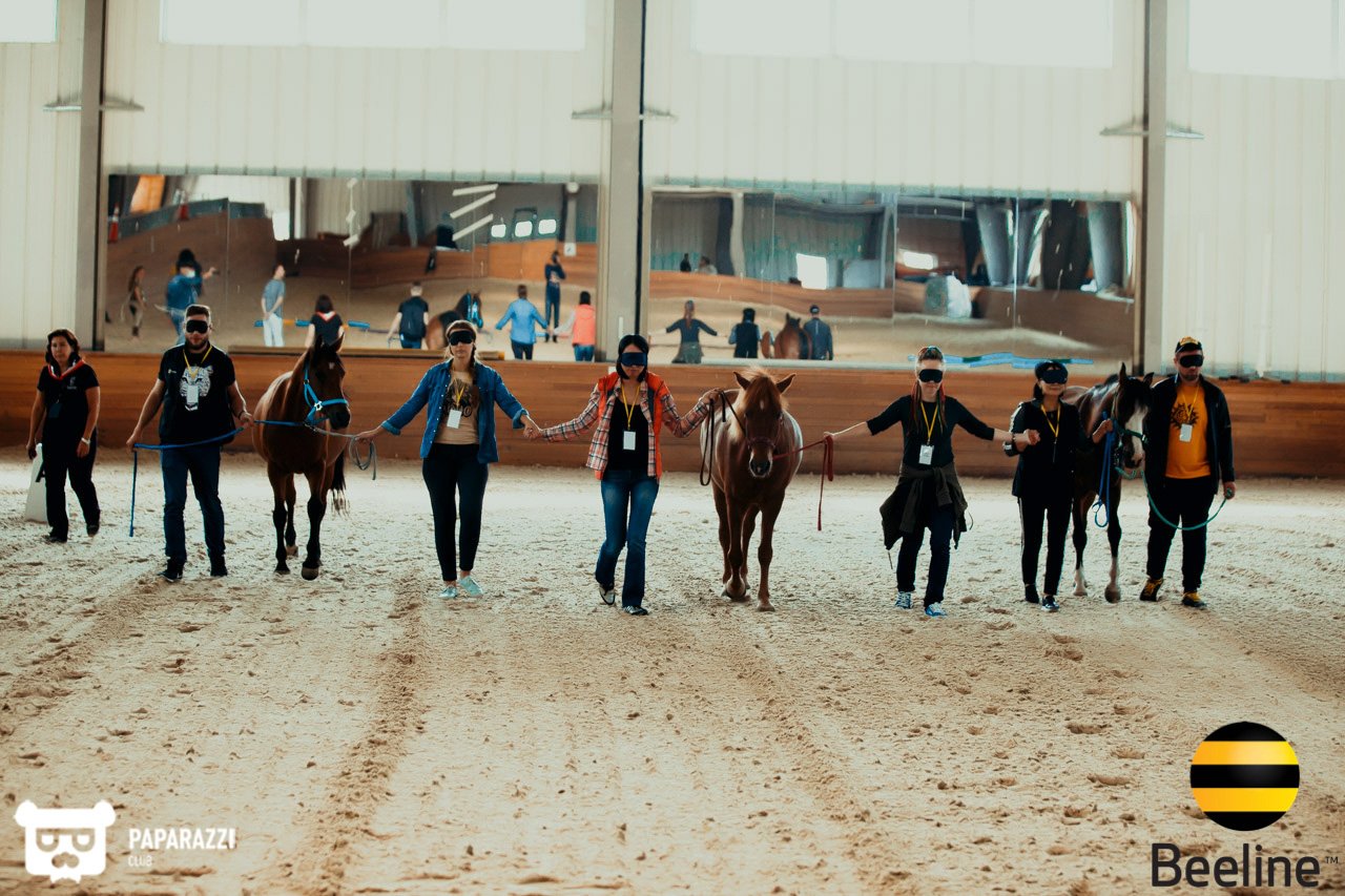 Тимбилдинг компании Beeline Kazakhstan в Chamberlain Country Club Алматы 11.09.2018 Тимбилдинг компании Beeline Kazakhstan в Chamberlain Country Club