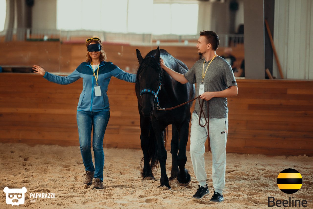 Тимбилдинг компании Beeline Kazakhstan в Chamberlain Country Club Алматы 11.09.2018 Тимбилдинг компании Beeline Kazakhstan в Chamberlain Country Club