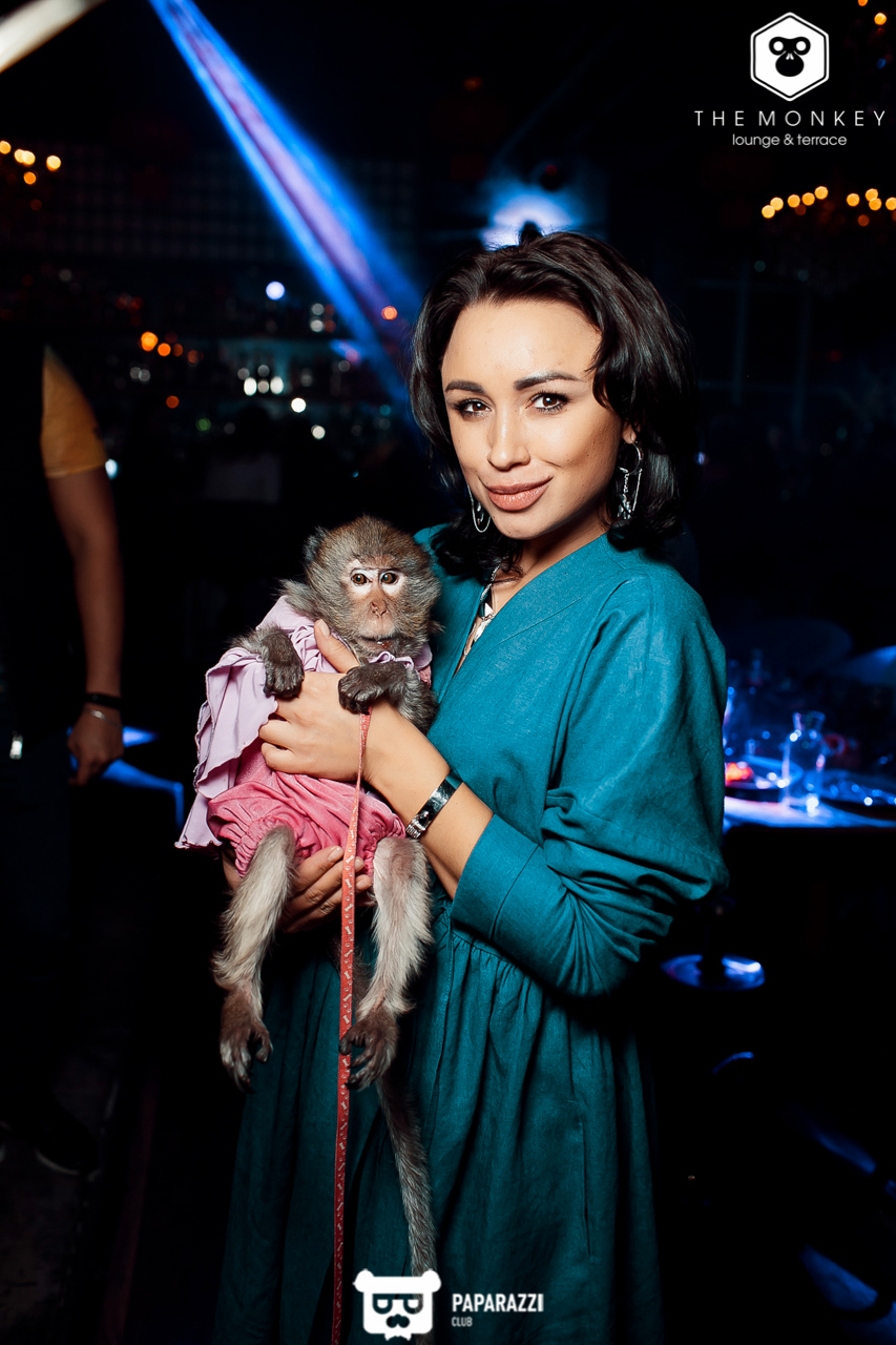 The Monkey Алматы 09.02.2019 The Monkey