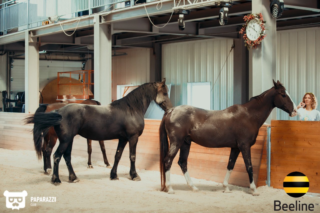 Тимбилдинг компании Beeline Kazakhstan в Chamberlain Country Club Алматы 11.09.2018 Тимбилдинг компании Beeline Kazakhstan в Chamberlain Country Club