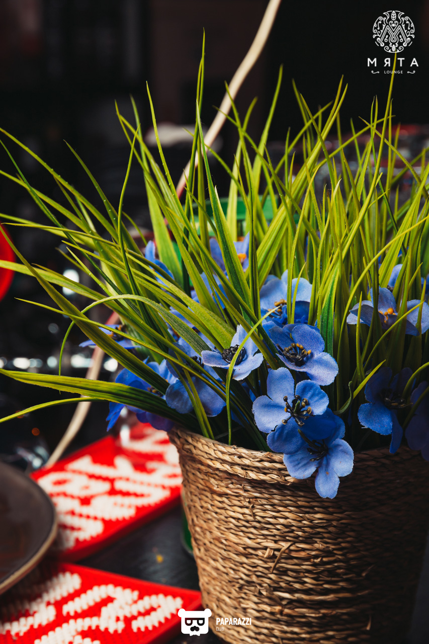 МЯТА Lounge на Мендикулова Алматы 28.01.2022 МЯТА Lounge на Мендикулова