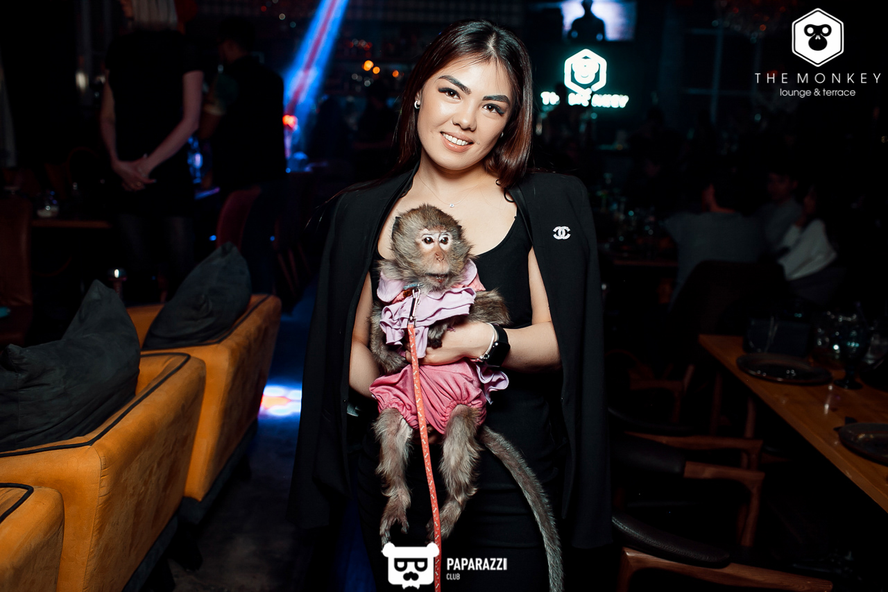 The Monkey Алматы 09.02.2019 The Monkey