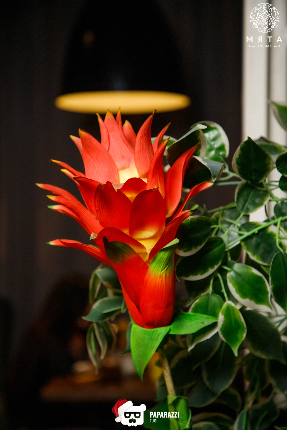 МЯТА Lounge на Алтынсарина Алматы 30.12.2021 МЯТА Lounge на Алтынсарина