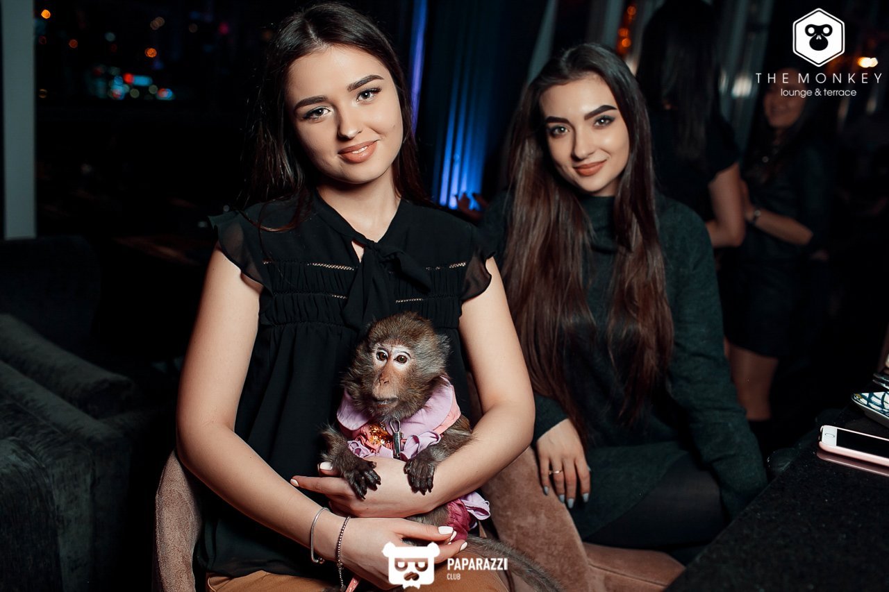 The Monkey Алматы 09.02.2019 The Monkey