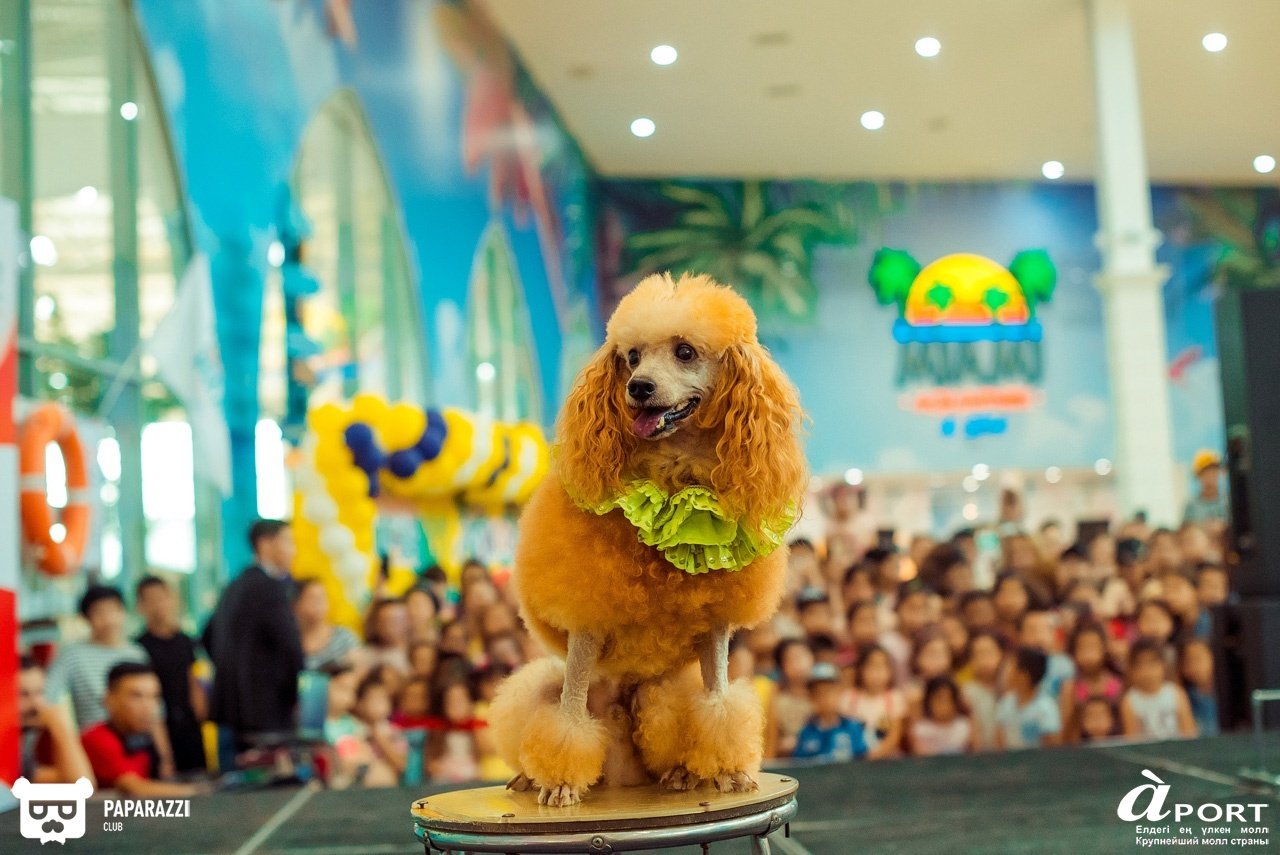 Молл Апорт Алматы 07.07.2018 Молл Апорт