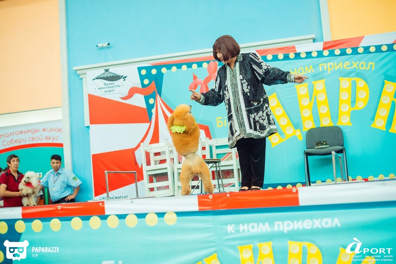 Молл Апорт Алматы 07.07.2018 Молл Апорт