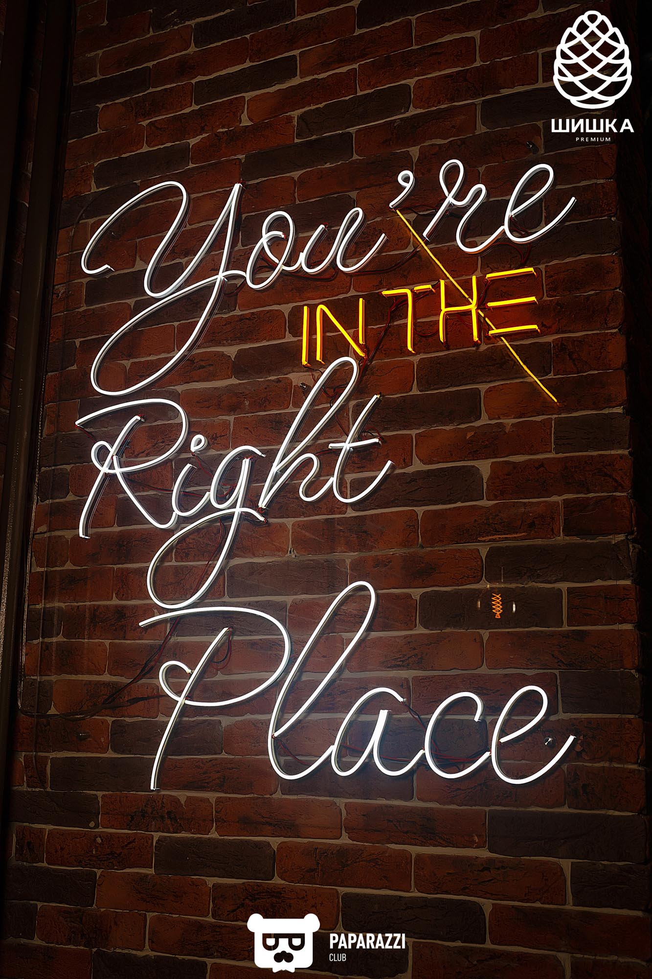 Шишка Premium Алматы 12.03.2021 Шишка Premium