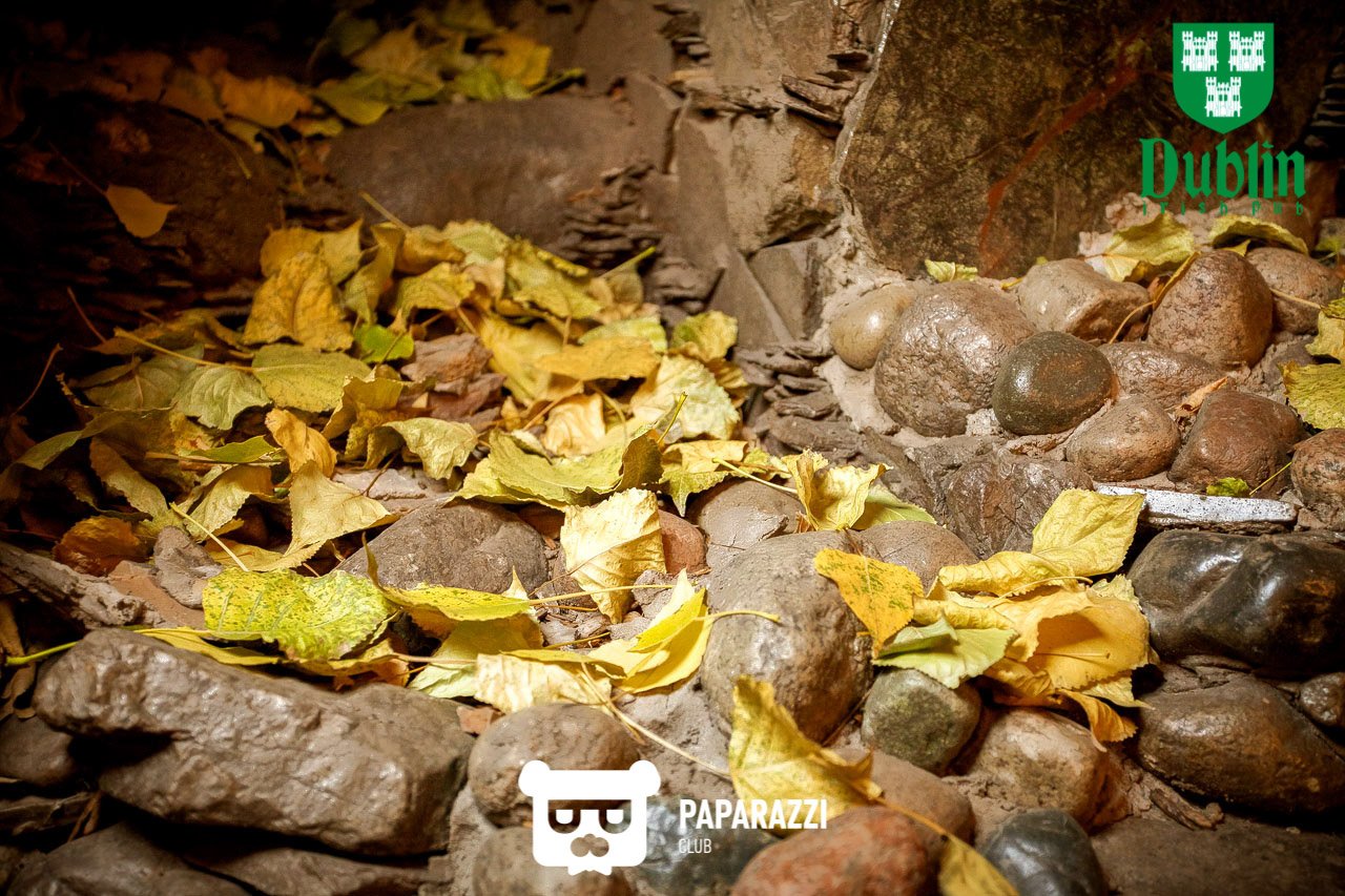 Irish Pub Dublin Алматы 02.09.2017 Irish Pub Dublin