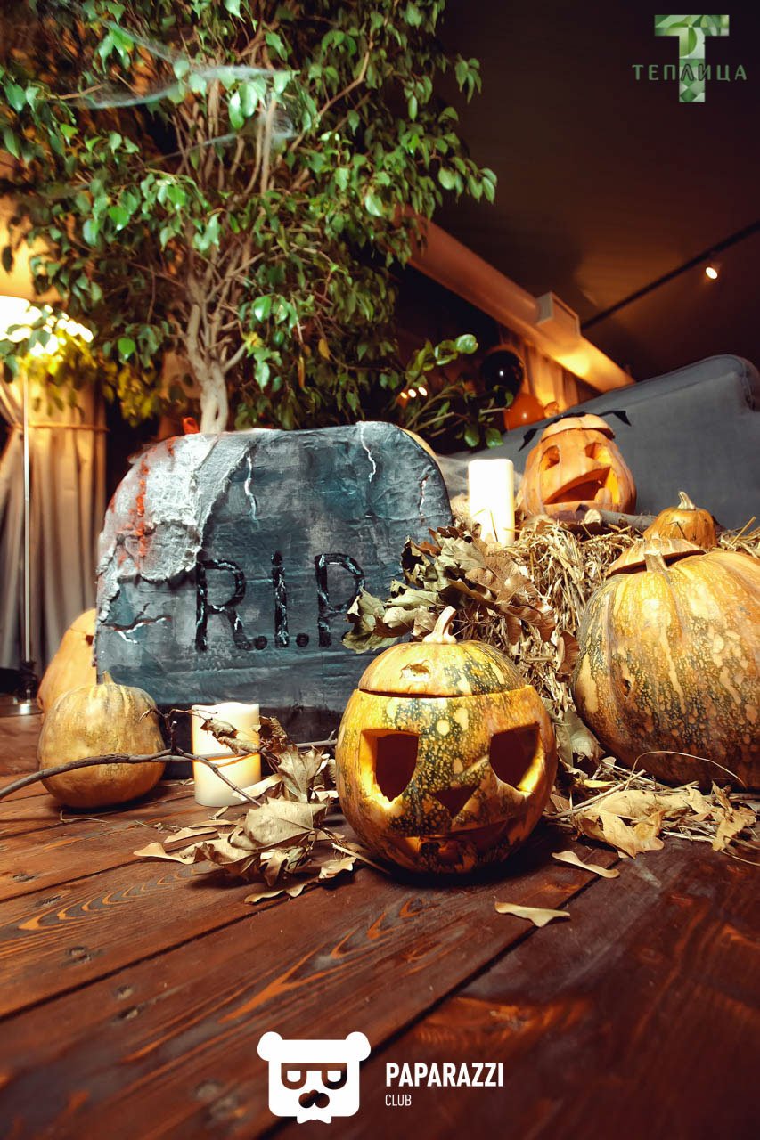 Теплица Алматы 29.10.2016 Теплица