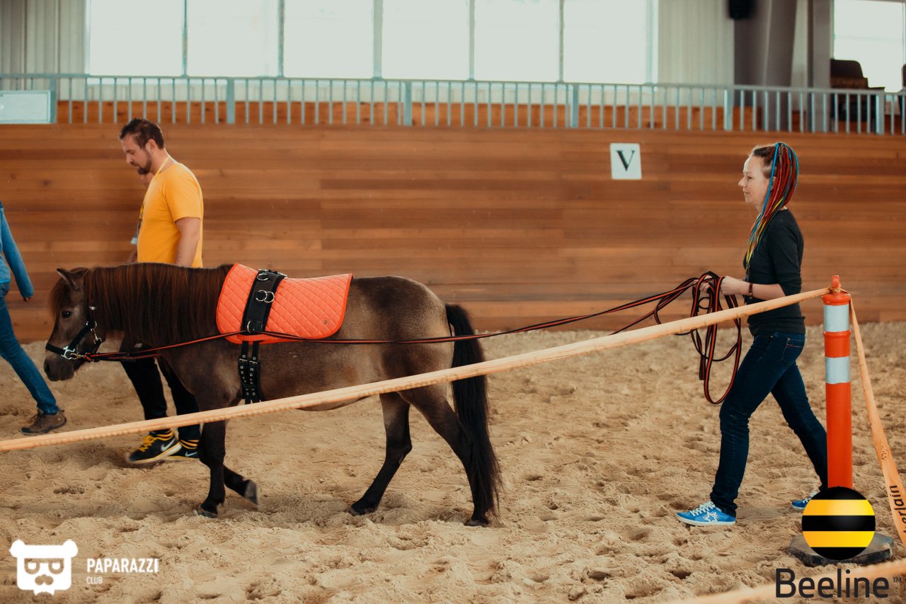 Тимбилдинг компании Beeline Kazakhstan в Chamberlain Country Club Алматы 11.09.2018 Тимбилдинг компании Beeline Kazakhstan в Chamberlain Country Club