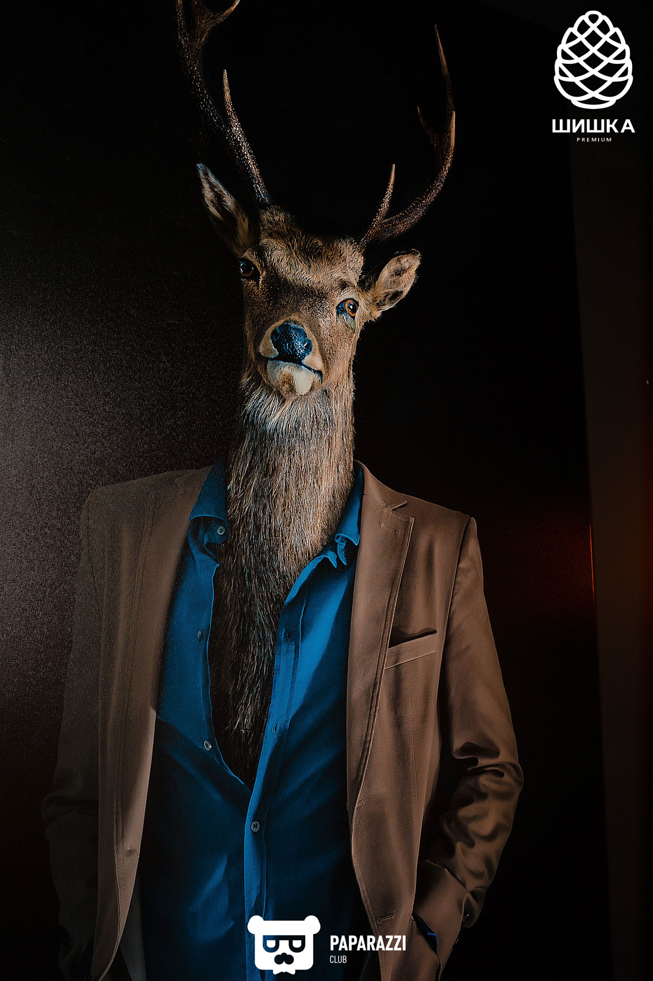 Шишка Premium Алматы 12.03.2021 Шишка Premium