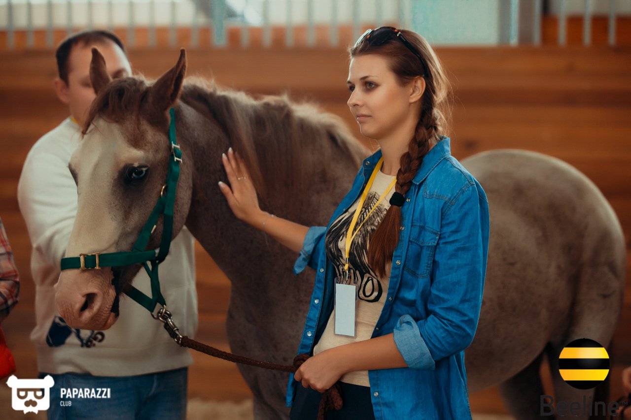 Тимбилдинг компании Beeline Kazakhstan в Chamberlain Country Club Алматы 11.09.2018 Тимбилдинг компании Beeline Kazakhstan в Chamberlain Country Club