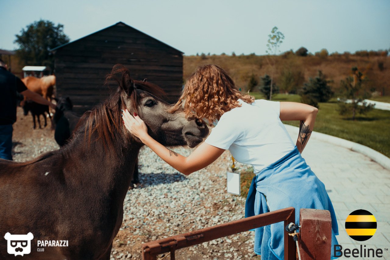Тимбилдинг компании Beeline Kazakhstan в Chamberlain Country Club Алматы 11.09.2018 Тимбилдинг компании Beeline Kazakhstan в Chamberlain Country Club
