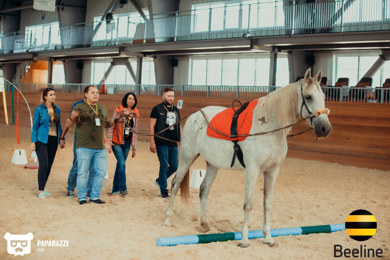 Тимбилдинг компании Beeline Kazakhstan в Chamberlain Country Club Алматы 11.09.2018 Тимбилдинг компании Beeline Kazakhstan в Chamberlain Country Club