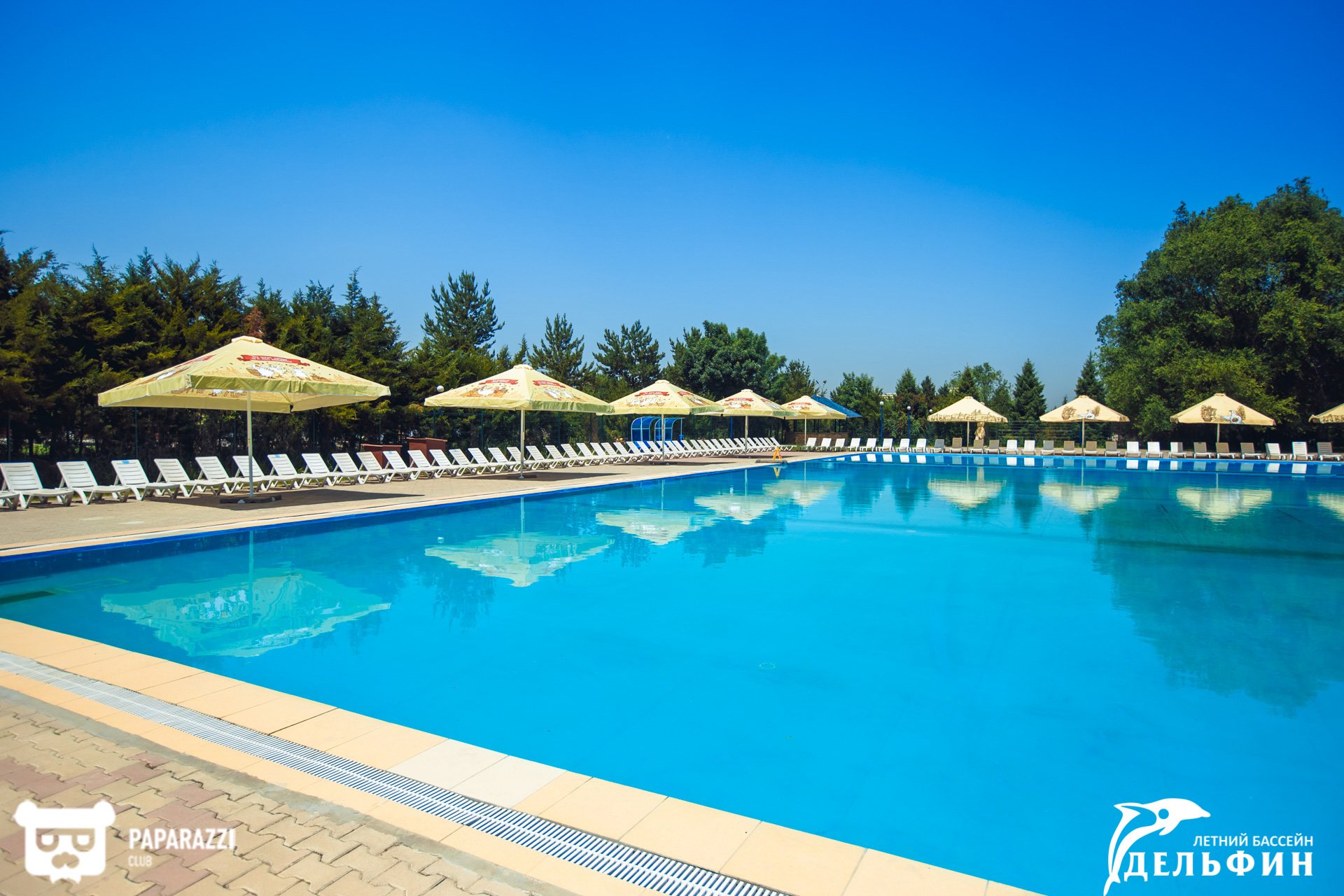 Дельфин Fitness & Spa Алматы 01.06.2018 Дельфин Fitness & Spa