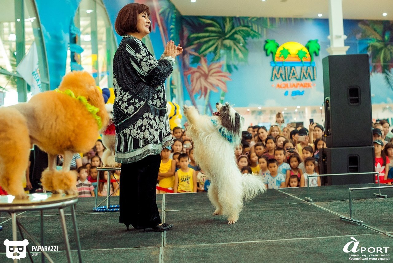 Молл Апорт Алматы 07.07.2018 Молл Апорт