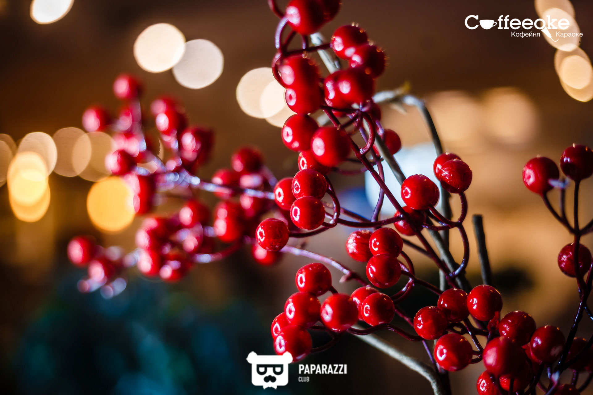 Coffeeoke Алматы 28.06.2019 Coffeeoke